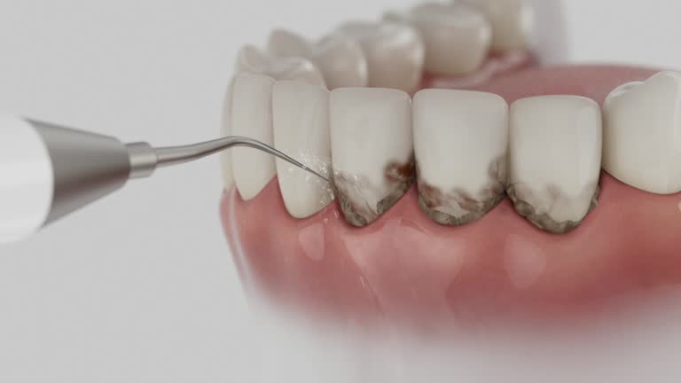 Reliable Dental contractor in Lockwood, MT by Dentist Open Now